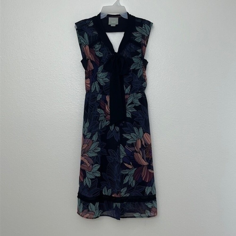 Anthropologie Maeve Dress X-Small Floral Breton midi